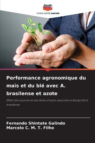 Performance agronomique du maïs et du blé avec A. brasilense et azote