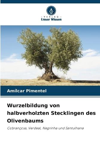 Wurzelbildung von halbverholzten Stecklingen des Olivenbaums