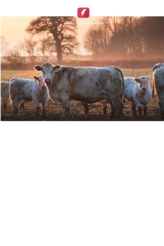 Riscos potenciais para a saúde enfrentados pelos trabalhadores do setor de resíduos sólidos