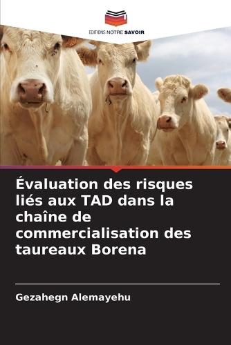 Évaluation des risques liés aux TAD dans la chaîne de commercialisation des taureaux Borena