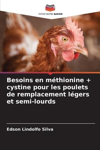 Besoins en méthionine + cystine pour les poulets de remplacement légers et semi-lourds