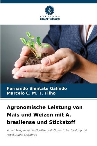 Agronomische Leistung von Mais und Weizen mit A. brasilense und Stickstoff