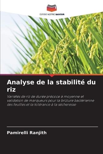 Analyse de la stabilité du riz