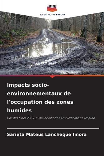 Impacts socio-environnementaux de l'occupation des zones humides