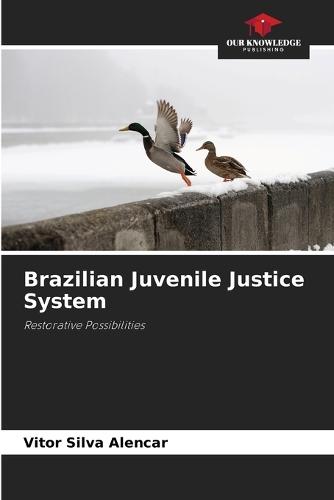 Brazilian Juvenile Justice System