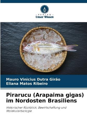 Pirarucu (Arapaima gigas) im Nordosten Brasiliens