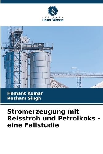 Stromerzeugung mit Reisstroh und Petrolkoks - eine Fallstudie
