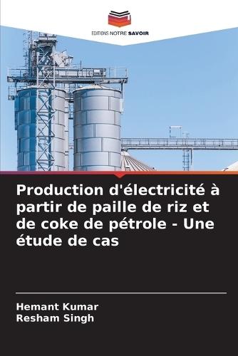 Production d'électricité à partir de paille de riz et de coke de pétrole - Une étude de cas