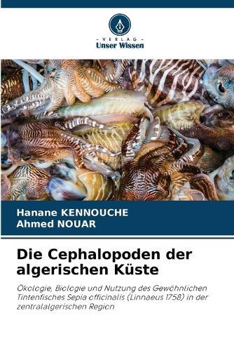 Die Cephalopoden der algerischen Küste