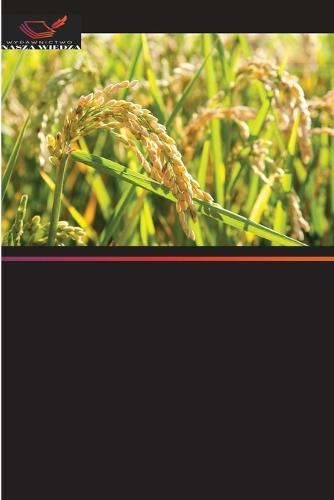 Badania nad dlugotrwalym stosowaniem herbicydów w systemie uprawy ryżu i pszenicy