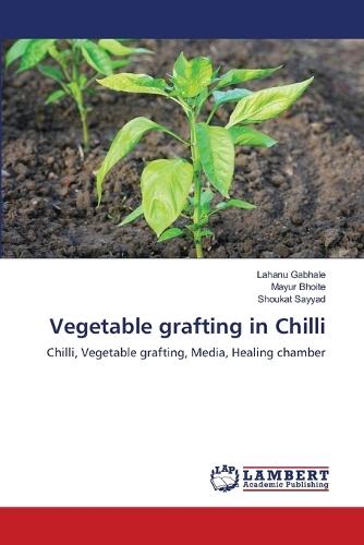 Vegetable grafting in Chilli