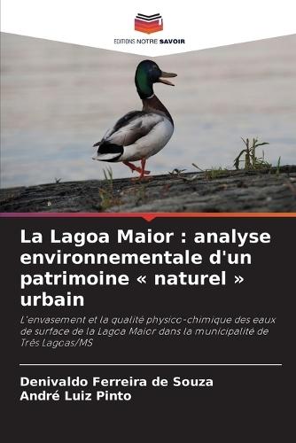 La Lagoa Maior: analyse environnementale d'un patrimoine naturel urbain