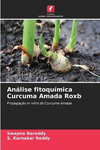 Análise fitoquímica Curcuma Amada Roxb
