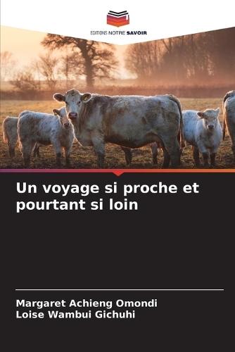 Un voyage si proche et pourtant si loin