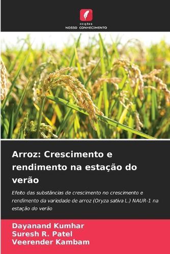 Arroz: Crescimento e rendimento na estação do verão