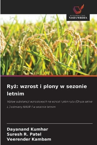 Ry&#380;: wzrost i plony w sezonie letnim
