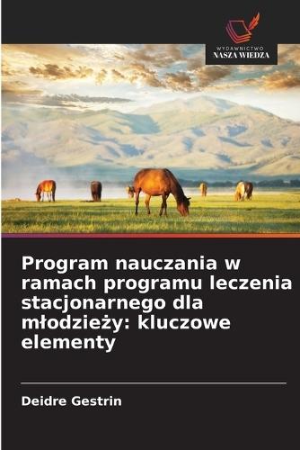 Program nauczania w ramach programu leczenia stacjonarnego dla mlodzie&#380;y: kluczowe elementy