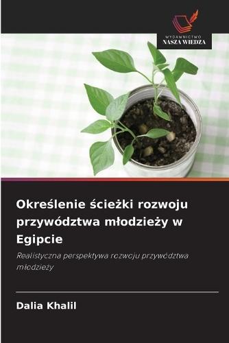 Określenie ścieżki rozwoju przywództwa mlodzieży w Egipcie