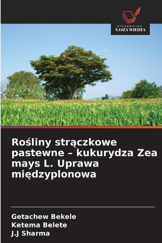 Ro&#347;liny str&#261;czkowe pastewne - kukurydza Zea mays L. Uprawa mi&#281;dzyplonowa