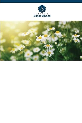 Häufige Grammatikfehler beim Schreiben von ESL-Lernenden in Gujarat