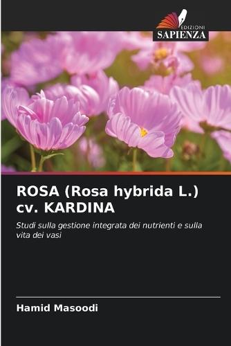 ROSA (Rosa hybrida L.) cv. KARDINA