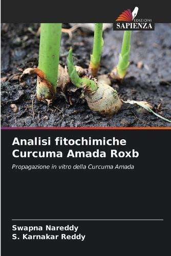 Analisi fitochimiche Curcuma Amada Roxb