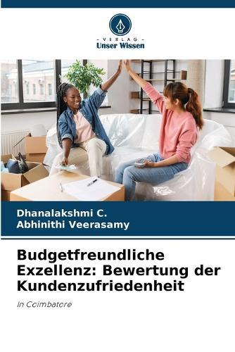 Budgetfreundliche Exzellenz: Bewertung der Kundenzufriedenheit