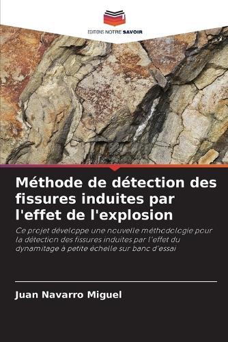 Méthode de détection des fissures induites par l'effet de l'explosion