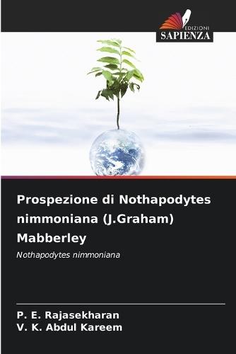 Prospezione di Nothapodytes nimmoniana (J.Graham) Mabberley