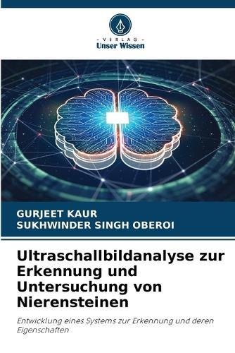 Ultraschallbildanalyse zur Erkennung und Untersuchung von Nierensteinen