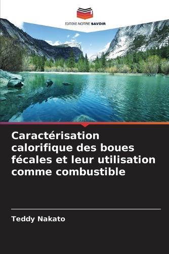 Caractérisation calorifique des boues fécales et leur utilisation comme combustible