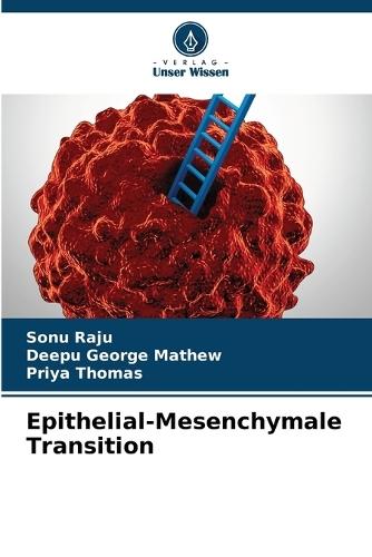 Epithelial-Mesenchymale Transition