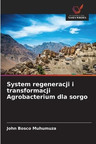 System regeneracji i transformacji Agrobacterium dla sorgo