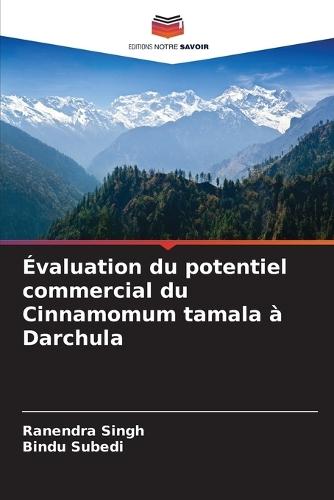 Évaluation du potentiel commercial du Cinnamomum tamala à Darchula