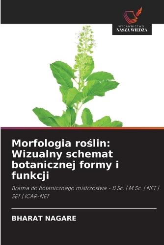 Morfologia roślin: Wizualny schemat botanicznej formy i funkcji