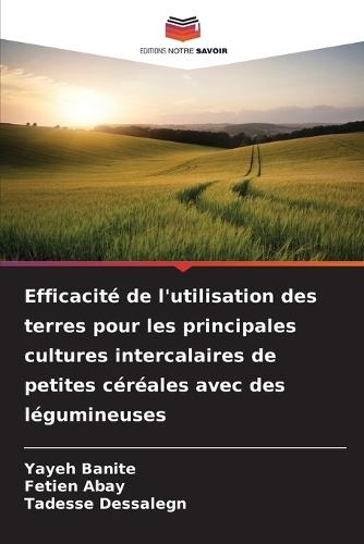 Efficacité de l'utilisation des terres pour les principales cultures intercalaires de petites céréales avec des légumineuses