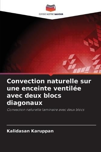 Convection naturelle sur une enceinte ventilée avec deux blocs diagonaux