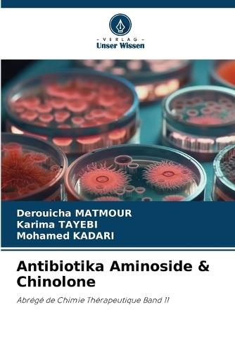 Antibiotika Aminoside & Chinolone