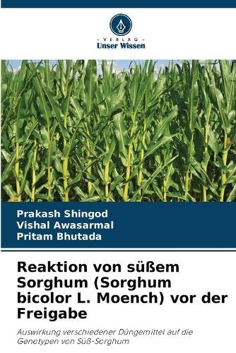 Reaktion von süßem Sorghum (Sorghum bicolor L. Moench) vor der Freigabe