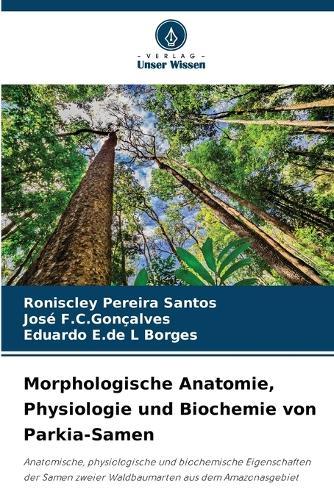 Morphologische Anatomie, Physiologie und Biochemie von Parkia-Samen