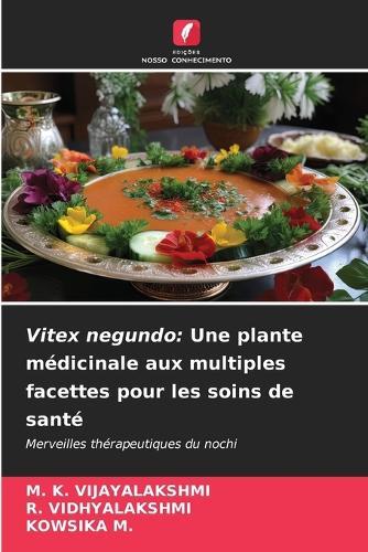 Vitex negundo: Une plante médicinale aux multiples facettes pour les soins de santé