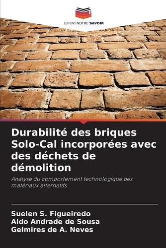 Durabilité des briques Solo-Cal incorporées avec des déchets de démolition