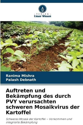 Auftreten und Bekämpfung des durch PVY verursachten schweren Mosaikvirus der Kartoffel