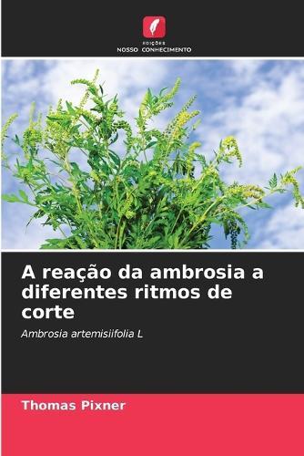 A reação da ambrosia a diferentes ritmos de corte
