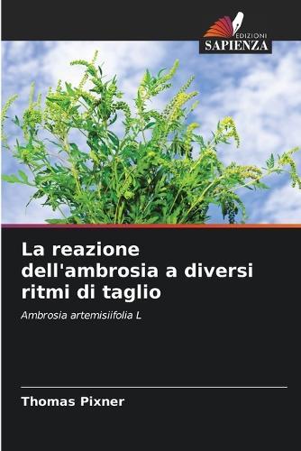 La reazione dell'ambrosia a diversi ritmi di taglio