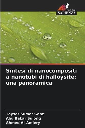 Sintesi di nanocompositi a nanotubi di halloysite: una panoramica