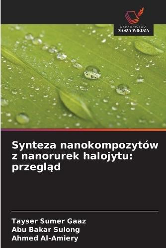 Synteza nanokompozytów z nanorurek halojytu: przegląd