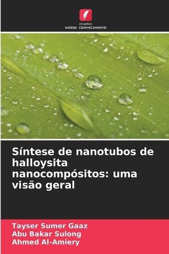 Síntese de nanotubos de halloysita nanocompósitos: uma visão geral