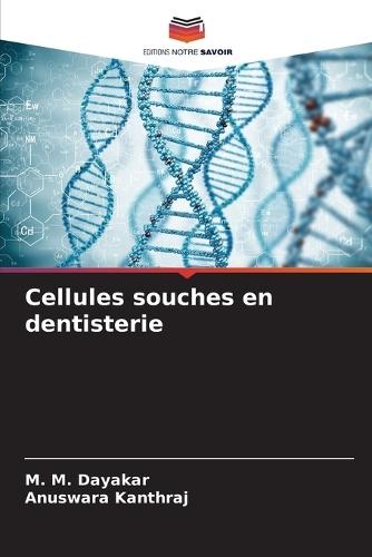 Cellules souches en dentisterie