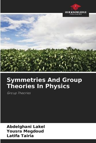 Symmetries And Group Theories In Physics